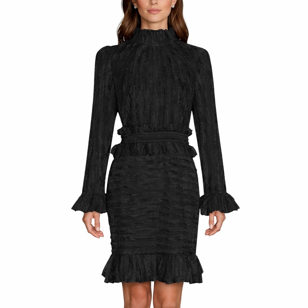 Feathered Stunning Ruffle Dress The Alessea